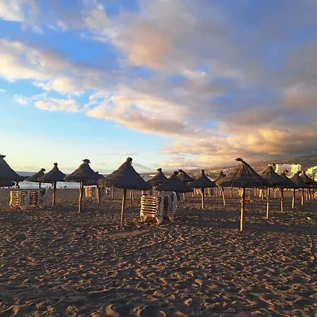 Pulse View - Americas